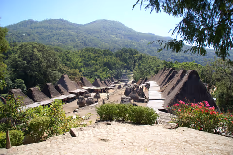 Flores Tour Guide