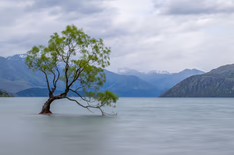 Wanaka Tour Guide