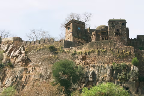 Ranthambore Tour Guide