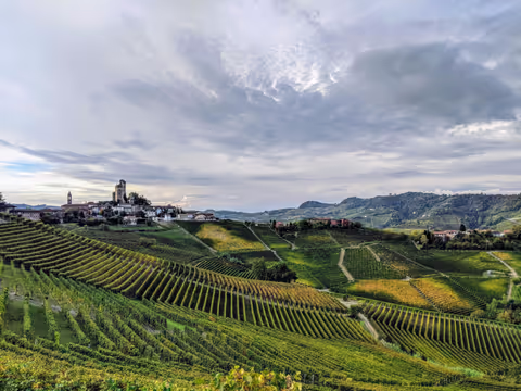 Barolo Tour Guide