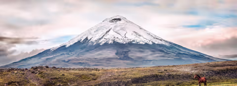 Ecuador Tour Guide
