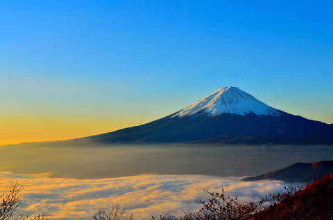 Japan Tour Guide