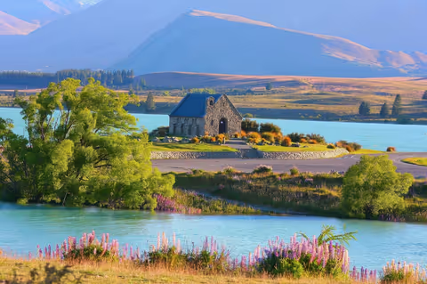 New Zealand Tour Guide