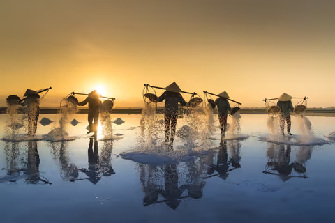 Vietnam Tour Guide