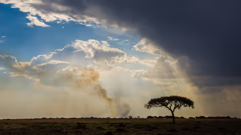 Zambia Tour Guide