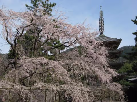 Ten Kyoto World Heritage Sites