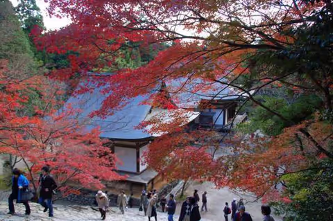 Five Places in Kyoto to View Autumn Leaves