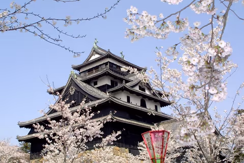 10 Great Places in Japan To Appreciate Cherry Blossoms