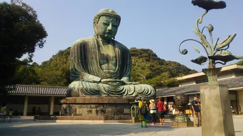 What Kinds of Tours Can I Do In Japan?