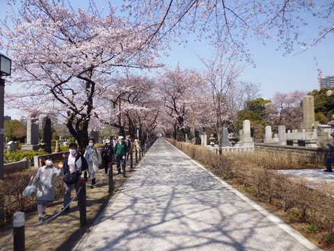 Three biggest cemeteries in Tokyo
