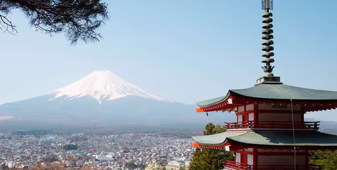 Going to Japan - do I need a guide?