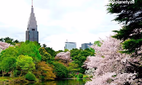 Tokyo travel - Places to go, things to do, best itinerary ideas and more