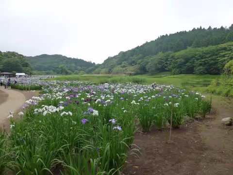 Kaguramiko & Shidakako Lake in Beppu City