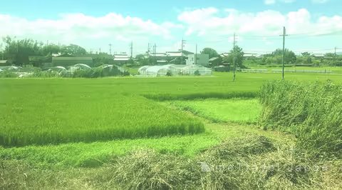 One Day Trip to Nara from Kyoto