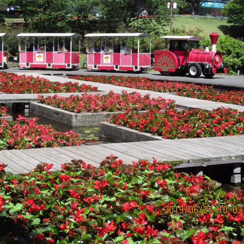 Sakaiminato --> Flower Garden・Castle Tour 