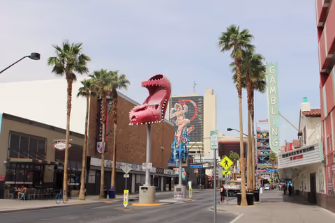 Tour the REAL Las Vegas!  Fremont Street Walking Tour