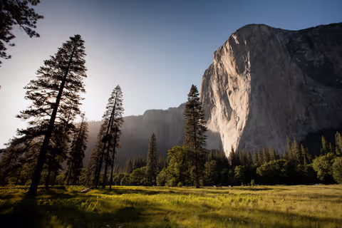 Enjoying The World’s Natural Beauty With A Private Guide