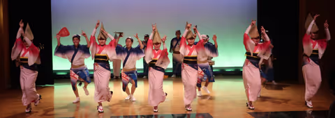 TOKUSHIMA  AWA ODORI  DANCE FESTIVAL (video)
