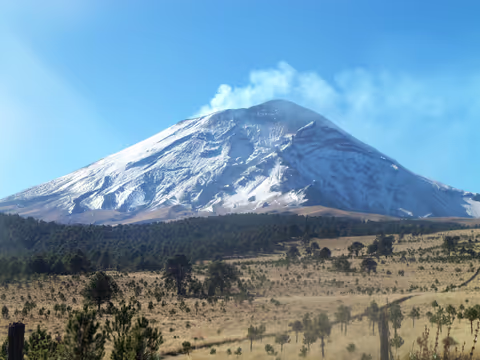 Our Top 3 Private Nature Tours In Mexico City