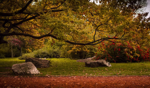 Our Top 4 Private Nature Tours In Budapest