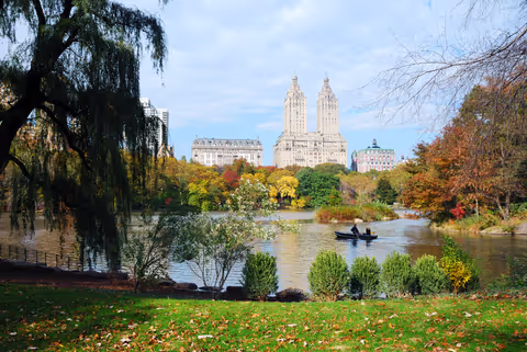 Your In-Depth Guide to New York City's Central Park