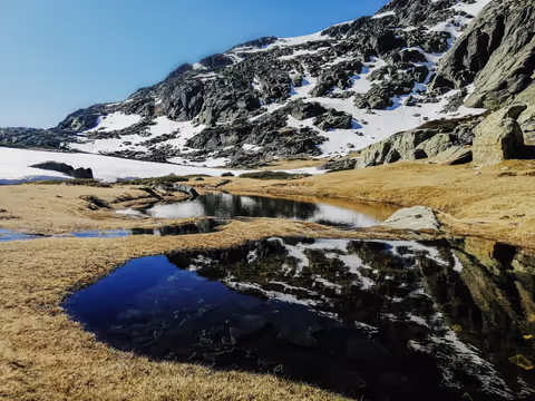 Our Top 6 Private Nature Tours In Madrid 