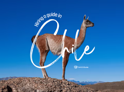 Hiring A Guide In Chile: Pros & Cons 
