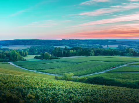 The Stress-Free Paris to Champagne Day Trip Guide (Tastings, Trains & More)