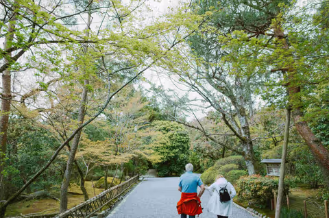 Japan Tour for Seniors: The Truth About Comfort, Walking, and Daily Pace