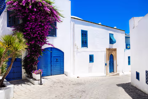 Tunis Carthage Sidi Bou Said Tour: How to Experience All Three in One Day