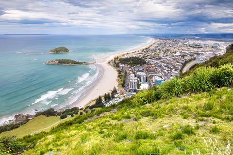 Tauranga Cruise Tours: A Simple Plan for a Smooth Day in Port