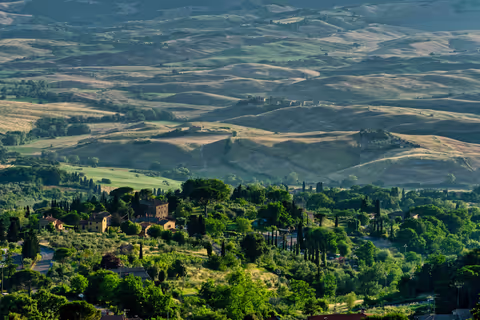 San Gimignano Tour from Florence: Seamless Day Trips with Volterra & Wine