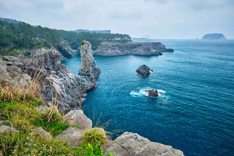 Jeju Tours From Cruise Port: How to Bypass Mass Tour Bus Crowds and Duty-Free Traps