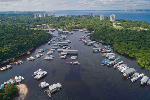 Amazon Rainforest Guided Tours: I Compared All 5 Countries, So You Do Not Have To