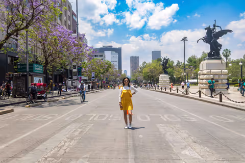 Is Mexico City Safe for Solo Female Travellers? The Six Colonias Locals Actually Recommend