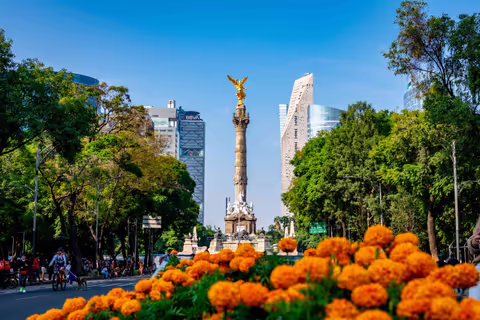 Best Tours for Seniors in Mexico: Expert-Curated Private Itineraries for 60+ Travelers