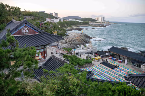 Hire a Private Driver in Busan: When the Subway Stops at the Sea
