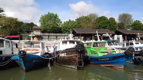 Pulau Ubin Tour Guide: Best Experiences, Costs, and How to Choose
