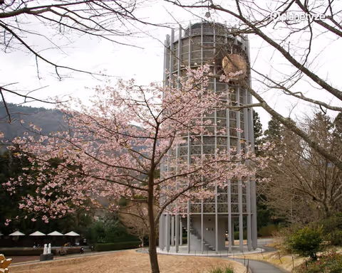 Ten of the Best Hakone Sightseeing Spots