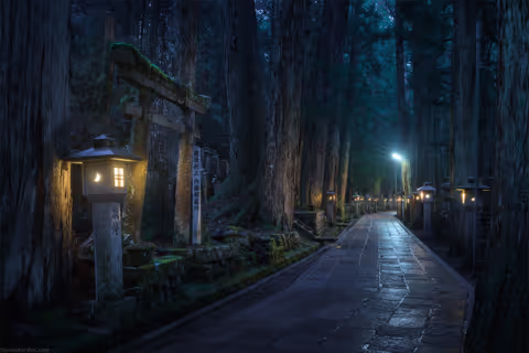 Koyasan resident guides N.