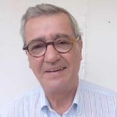 Lisbon Tour Guide - Pedro G.