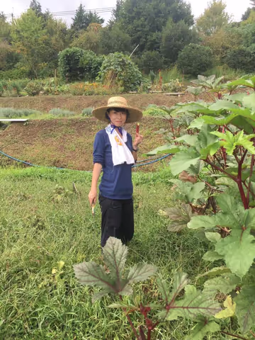 Kyoto Tour Guide - Noriko Y.