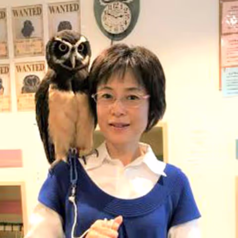 Tokyo Tour Guide - Toshi H.