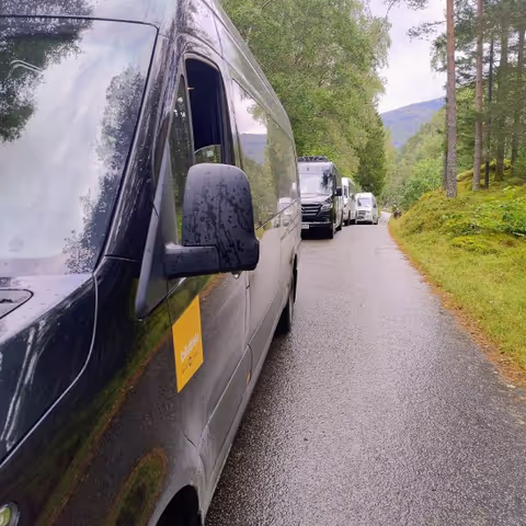 Bergen Tour Guide - NorwegianDayTrips