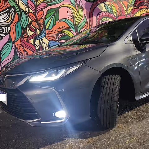 Rio de Janeiro Tour Guide - GoRio Transfer