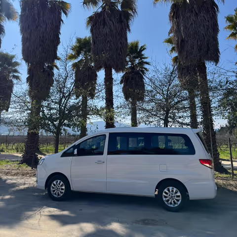 Valparaiso Tour Guide - Pato's Tours&Transfer