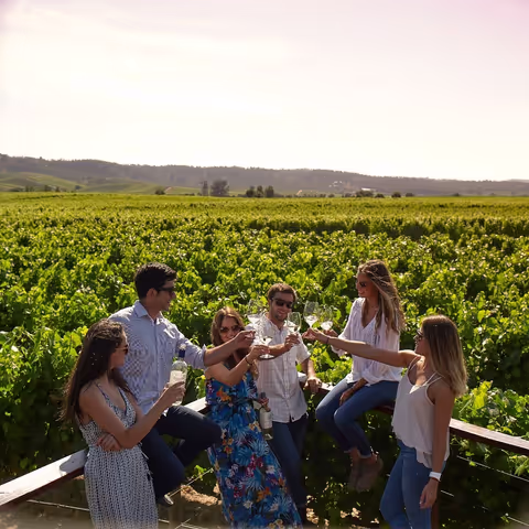 Casablanca Wine Tour