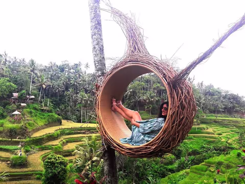 The Beauty of Ubud