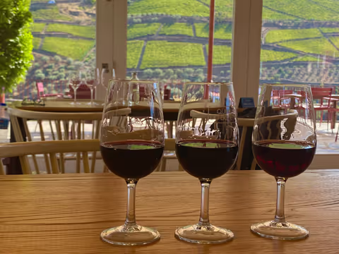Douro Valley - wine and landscapes