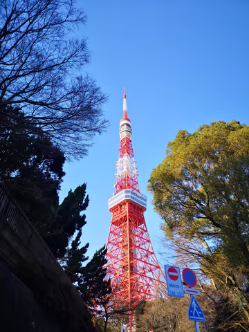 Tokyo customized half day tour as you like